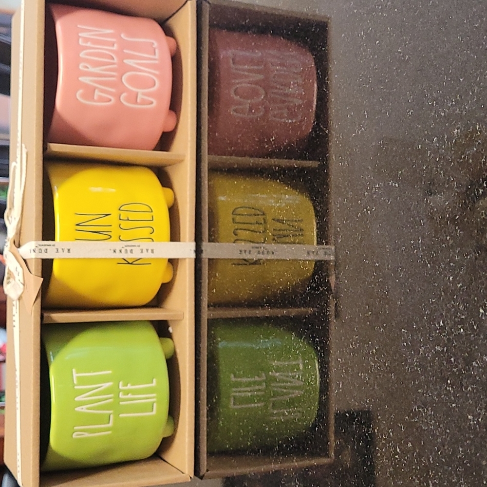 Rae Dunn Pots